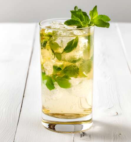 Wellness treatment Mojito royal